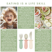 Stage 3: Toddler Training Utensils