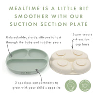 Suction Section Plate